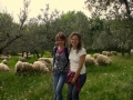 dscf0701.jpg