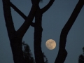DSCF3416.JPG