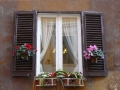 roma (30).jpg