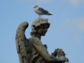 roma (31).jpg