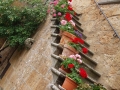 bagnoregio_05