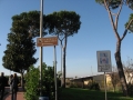 nettuno15.JPG