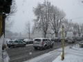 IMG_3297.jpg
