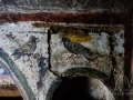 dsc8331